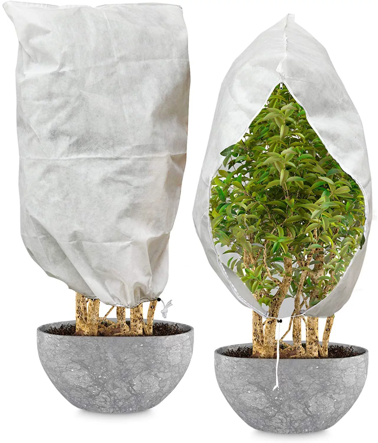 防寒植物罩